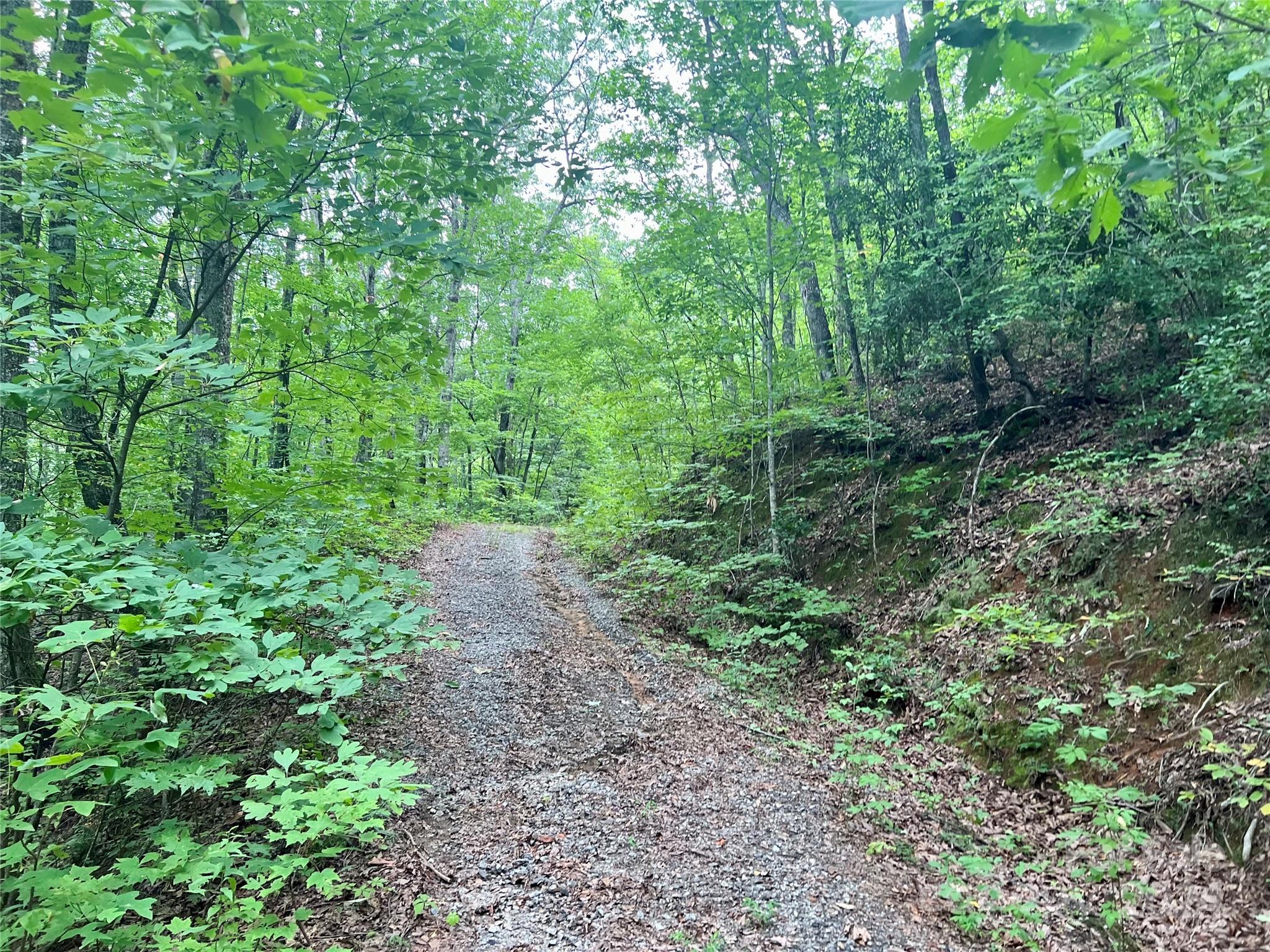 0 Morgan Creek Road Marble, NC 28905 - Photo 3 of 40