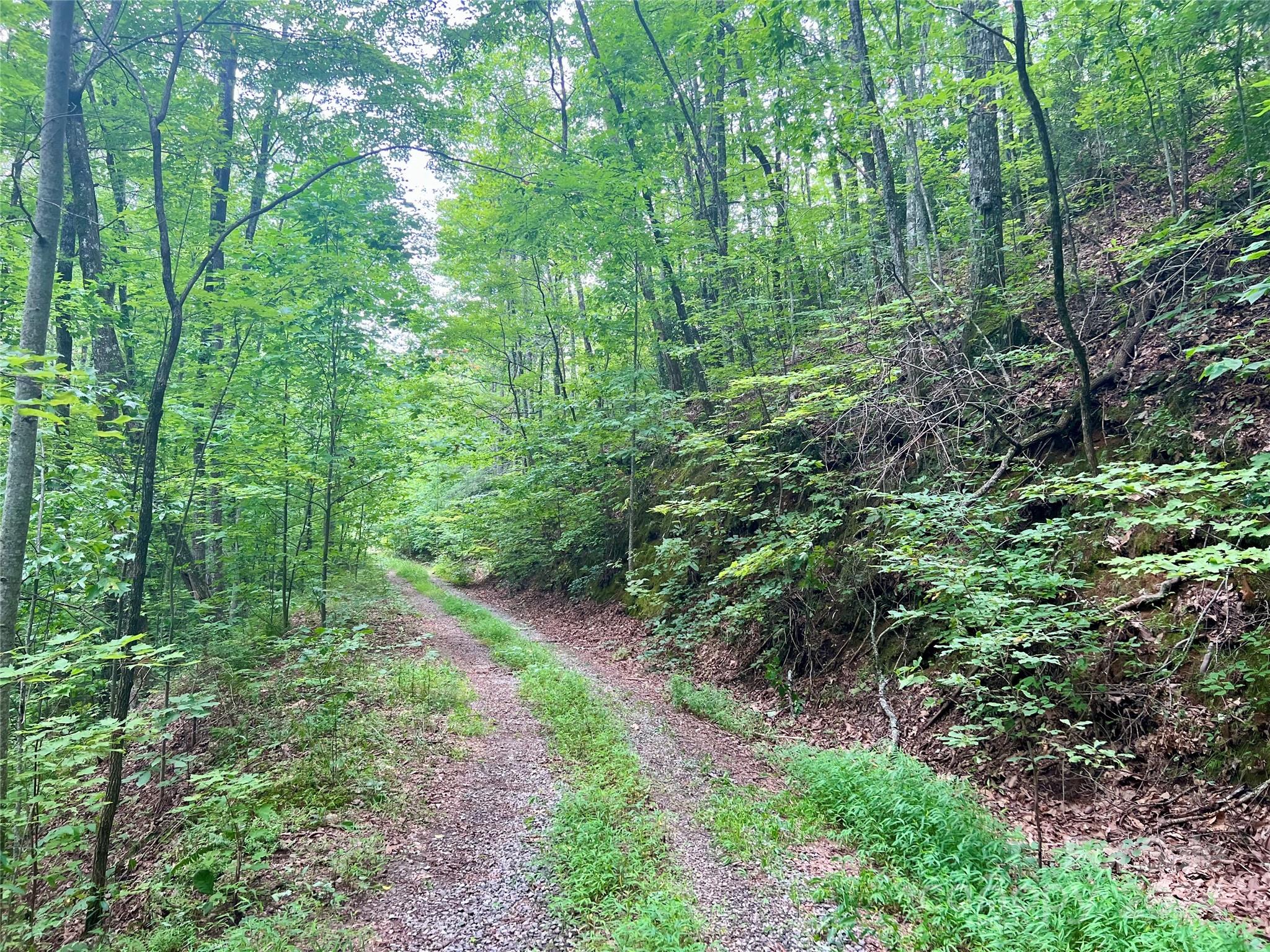0 Morgan Creek Road Marble, NC 28905 - Photo 32 of 40