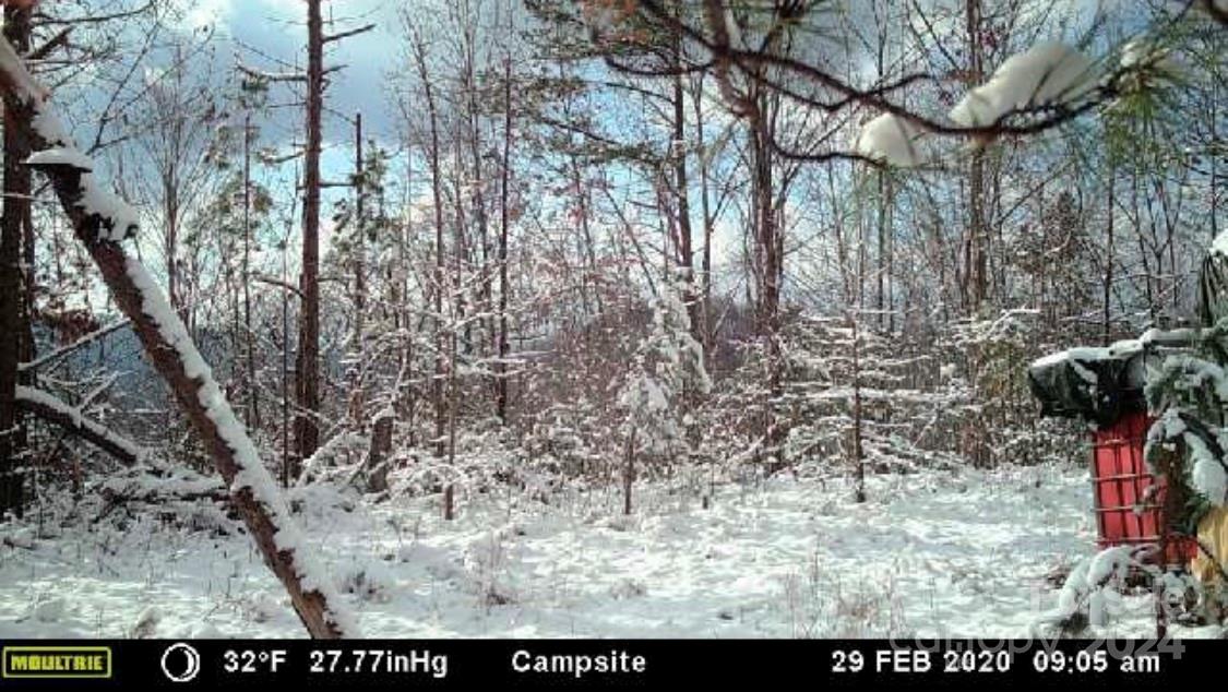 0 Morgan Creek Road Marble, NC 28905 - Photo 34 of 40