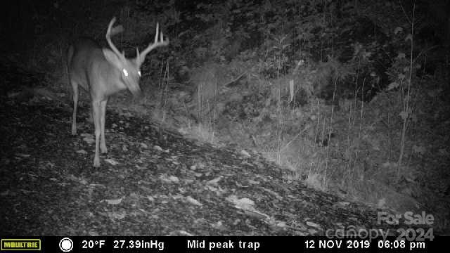 0 Morgan Creek Road Marble, NC 28905 - Photo 38 of 40
