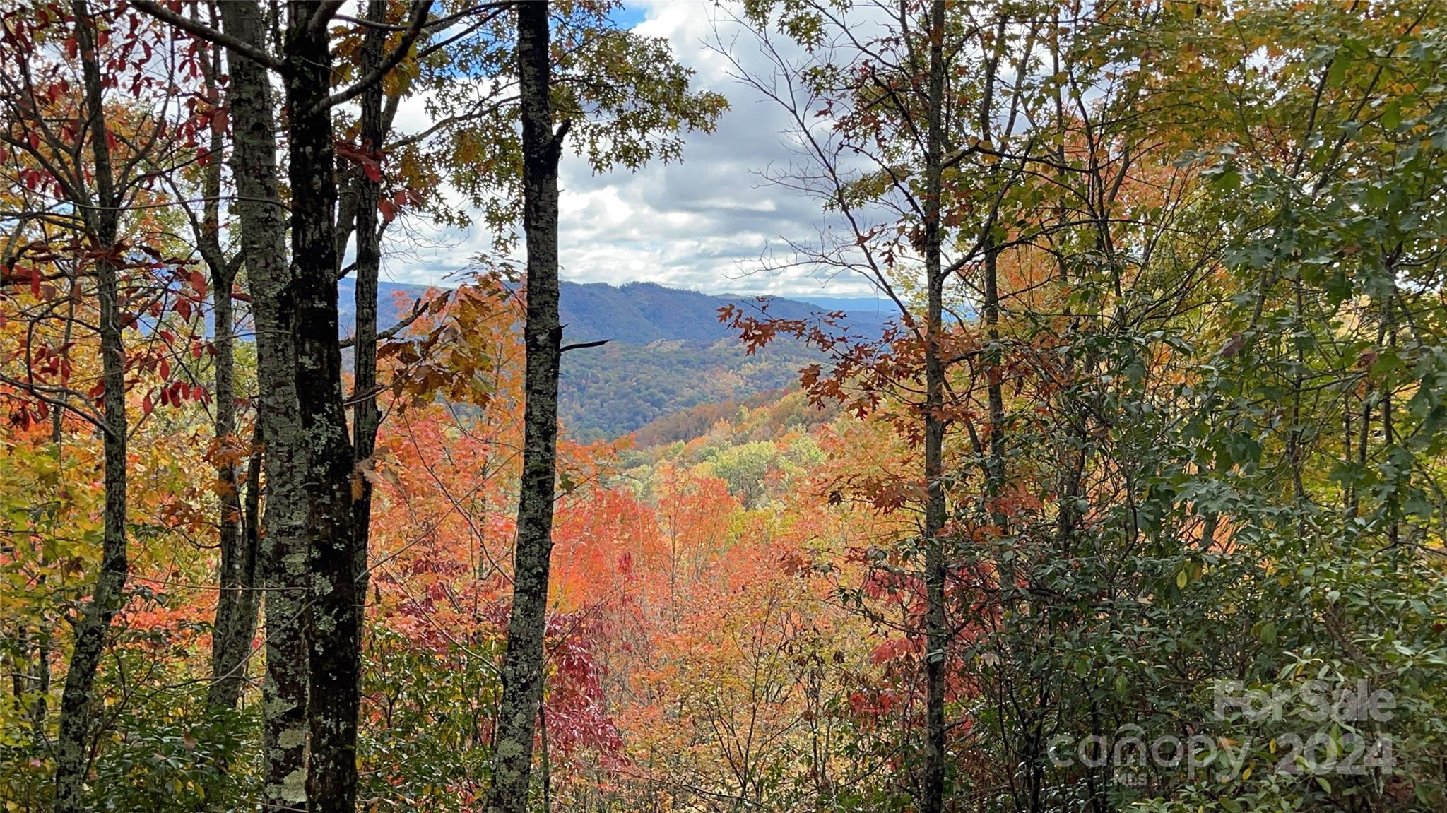0 Morgan Creek Road Marble, NC 28905 - Photo 8 of 40