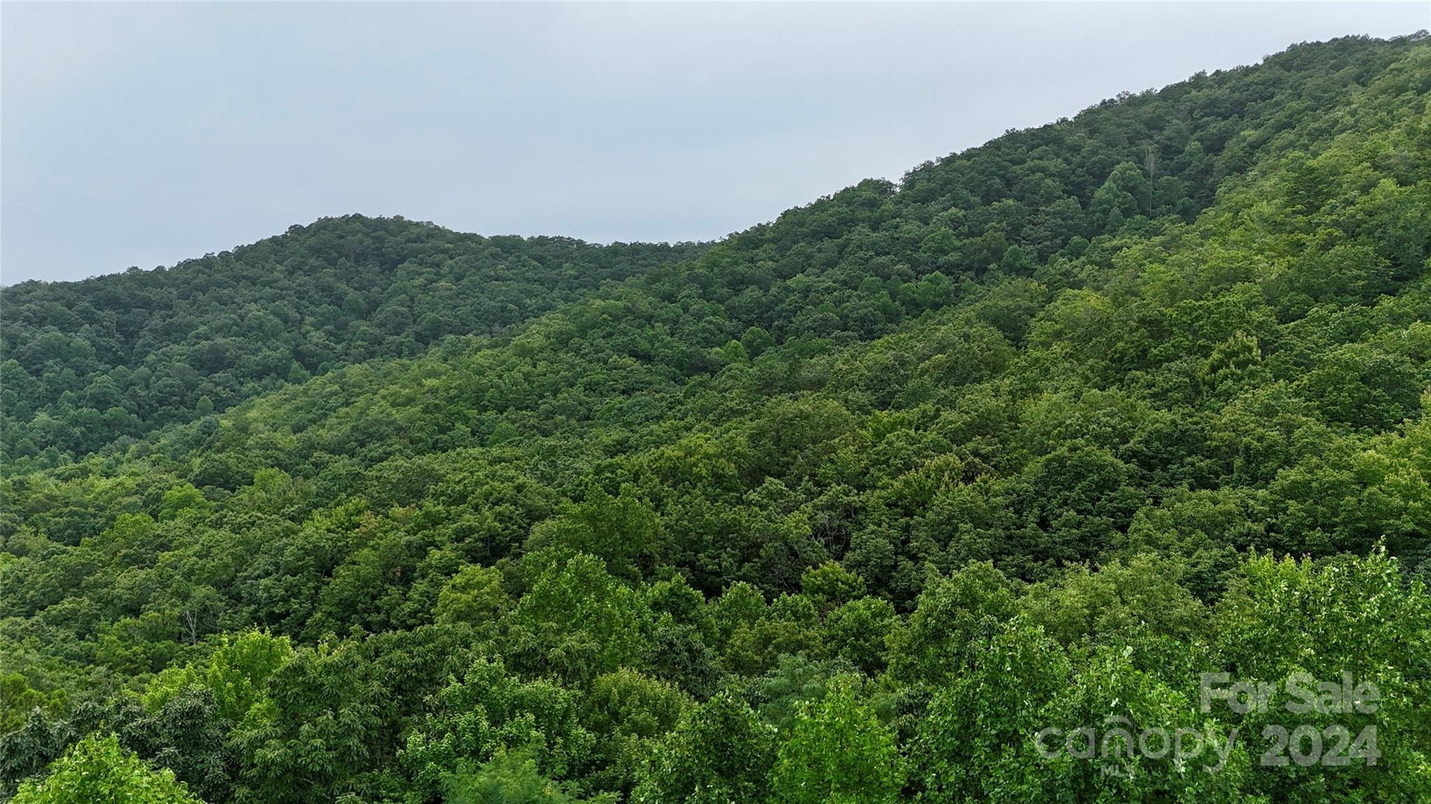 0 Morgan Creek Road Marble, NC 28905 - Photo 9 of 40