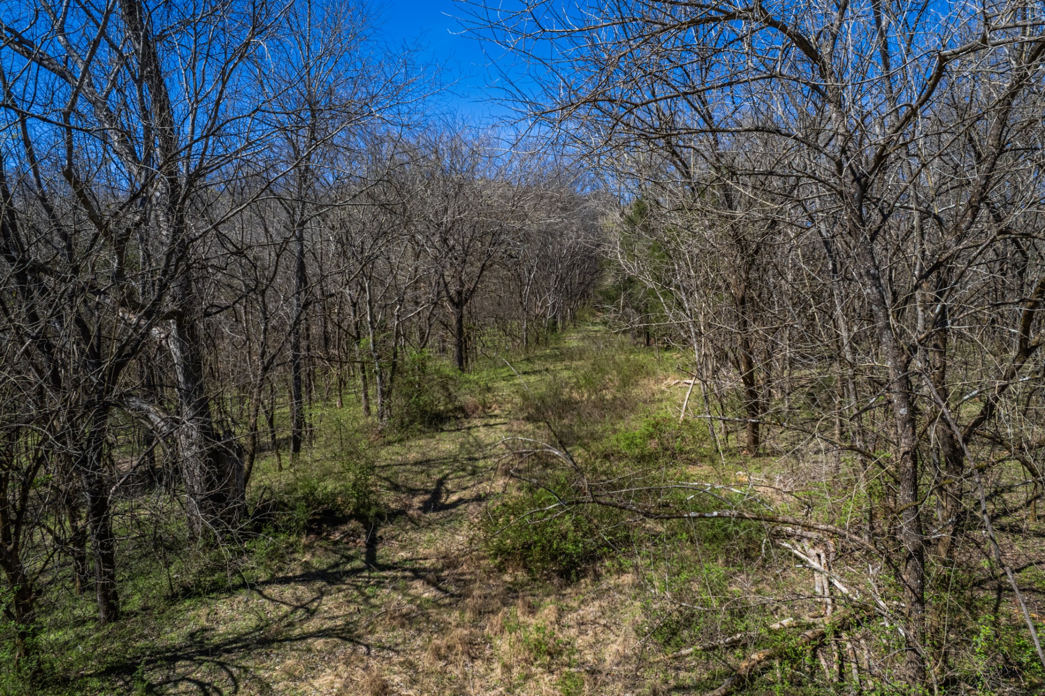 0 Dowell Branch Road Columbia, TN 38401 - Photo 20 of 60 Gallery Image 20