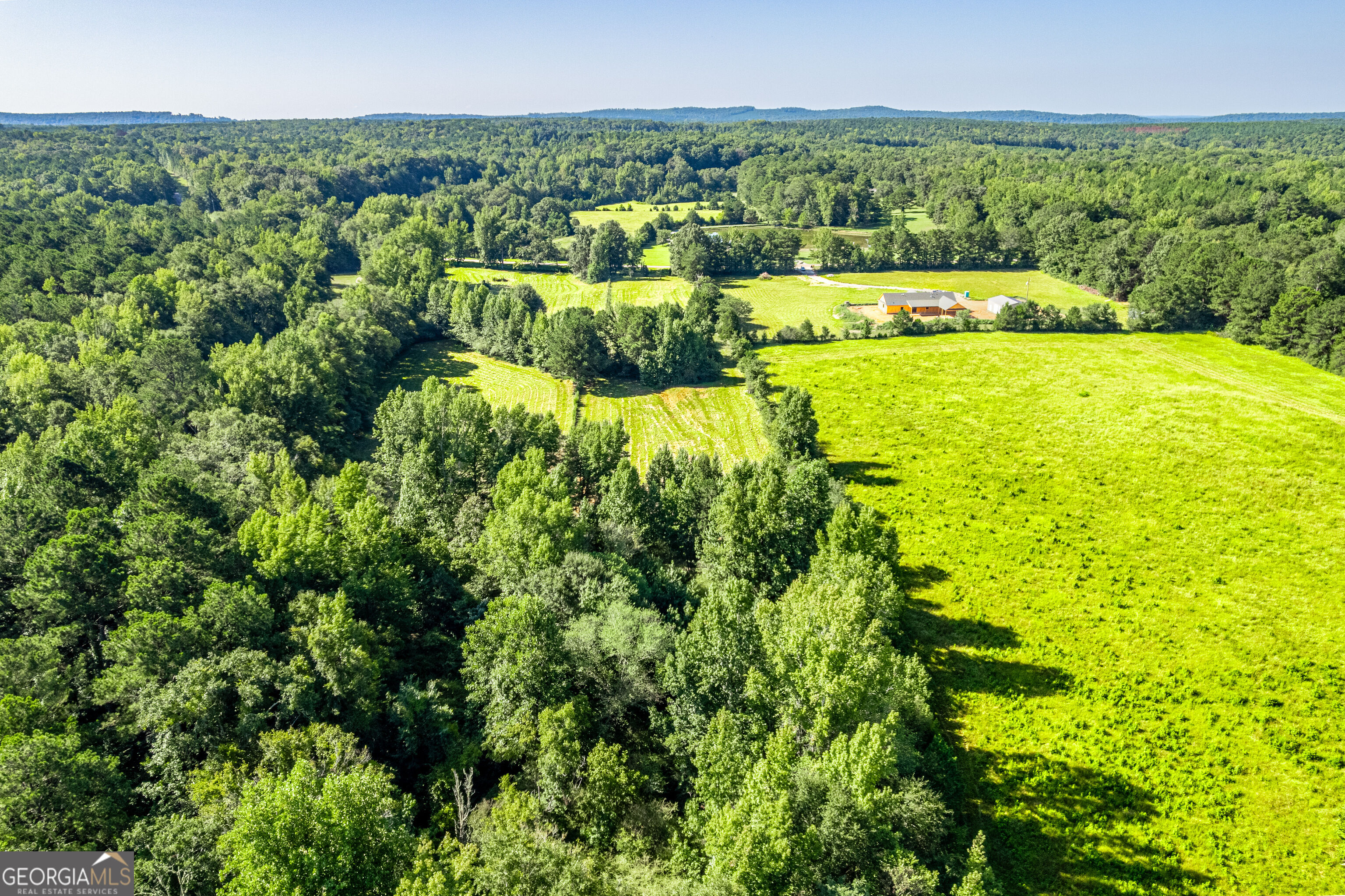 7.65-acres Baker Road Shiloh, GA 31826 - Photo 5 of 24 Gallery Image 5