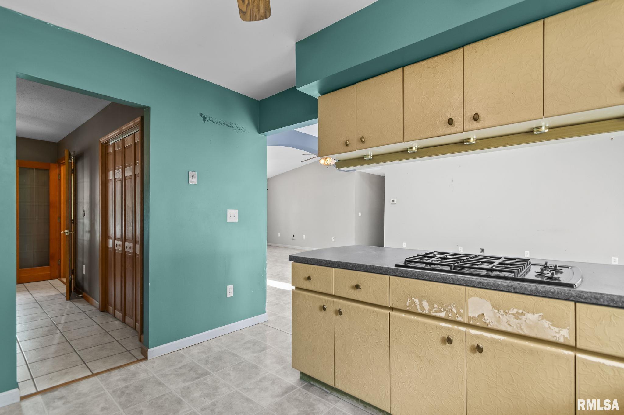 6454 Camino De Burlon Road Rochester, IL 62563 - Photo 20 of 38