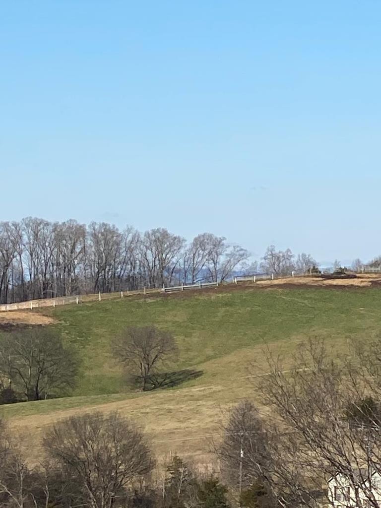 0 Rays Gap Road Seymour, TN 37865 - Photo 1 of 3 Gallery Image 1