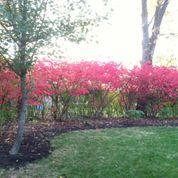 8047 Simfield Road Dublin, OH 43016 - Photo 53 of 55 Gallery Image 53