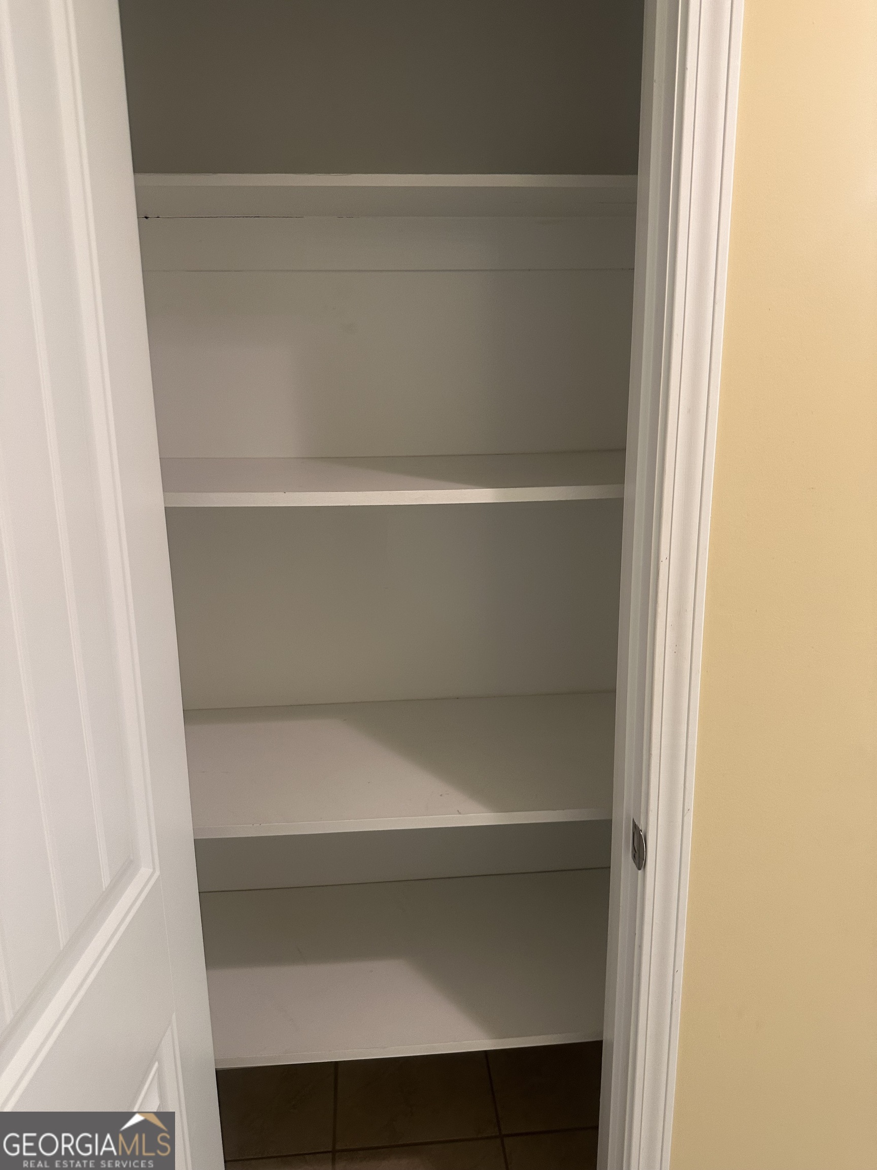 12 Fox Path St. Marys, GA 31558 - Photo 16 of 23 a close view of closet