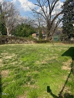 a view of yard with green space