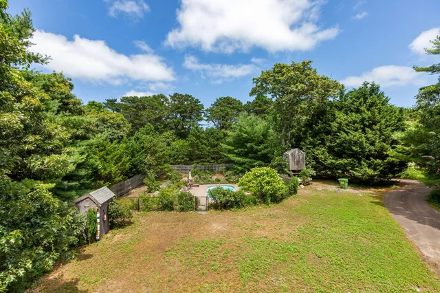 a view of a yard with plants