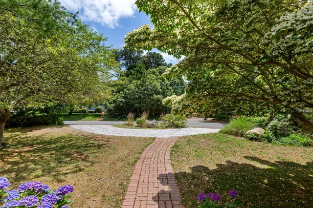 a view of a pathway both side of yard