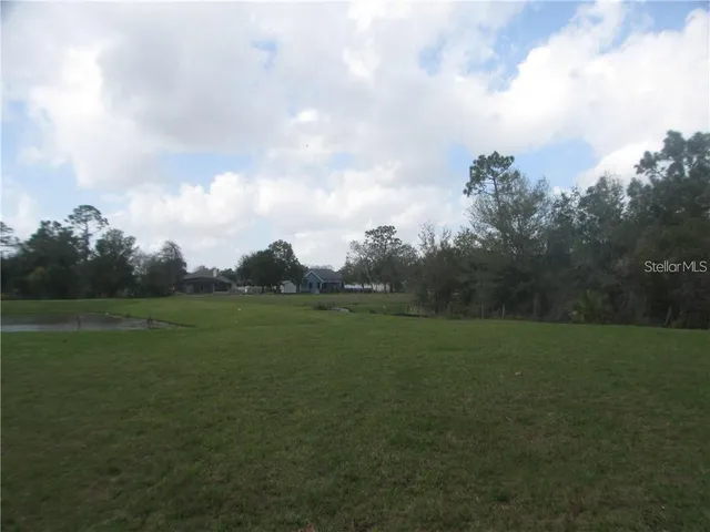 a view of field with tall trees
