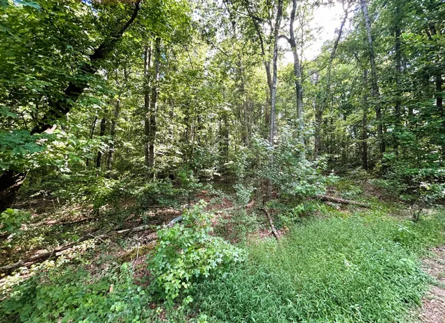 $335,000 | 3970 Highway 68, Turtletown, TN 37391