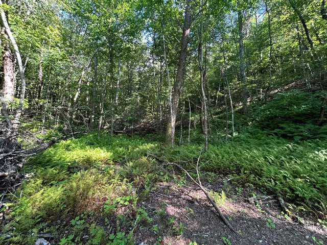 $335,000 | 3970 Highway 68, Turtletown, TN 37391