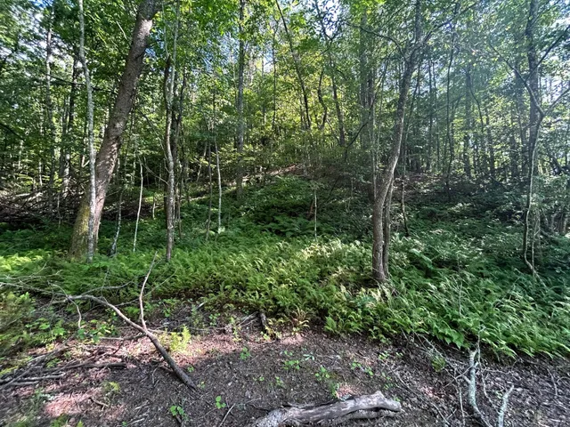 $335,000 | 3970 Highway 68, Turtletown, TN 37391