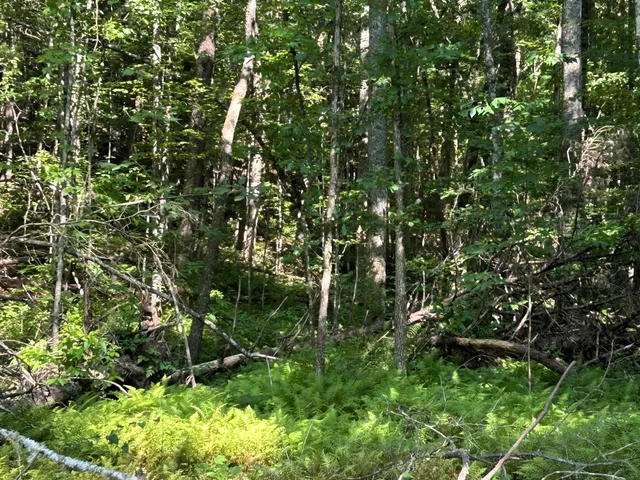 $335,000 | 3970 Highway 68, Turtletown, TN 37391