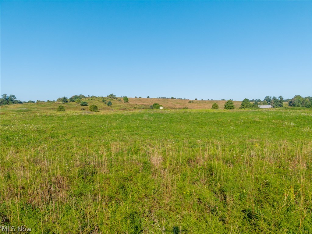 Murray Road Dover, OH 44622 - Photo 4 of 21 Gallery Image 4