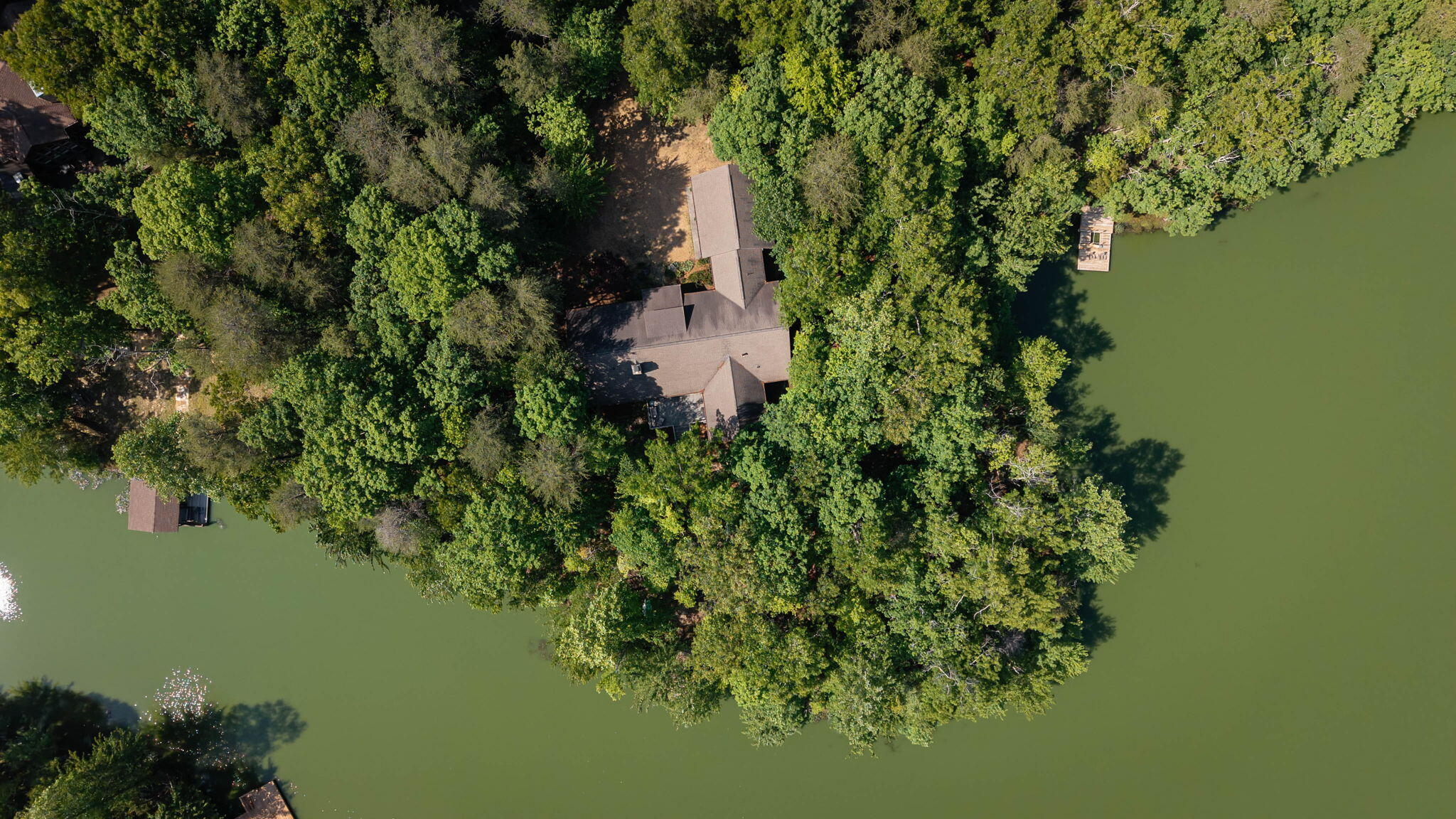 63-web-or-mls-479-lake-loop
