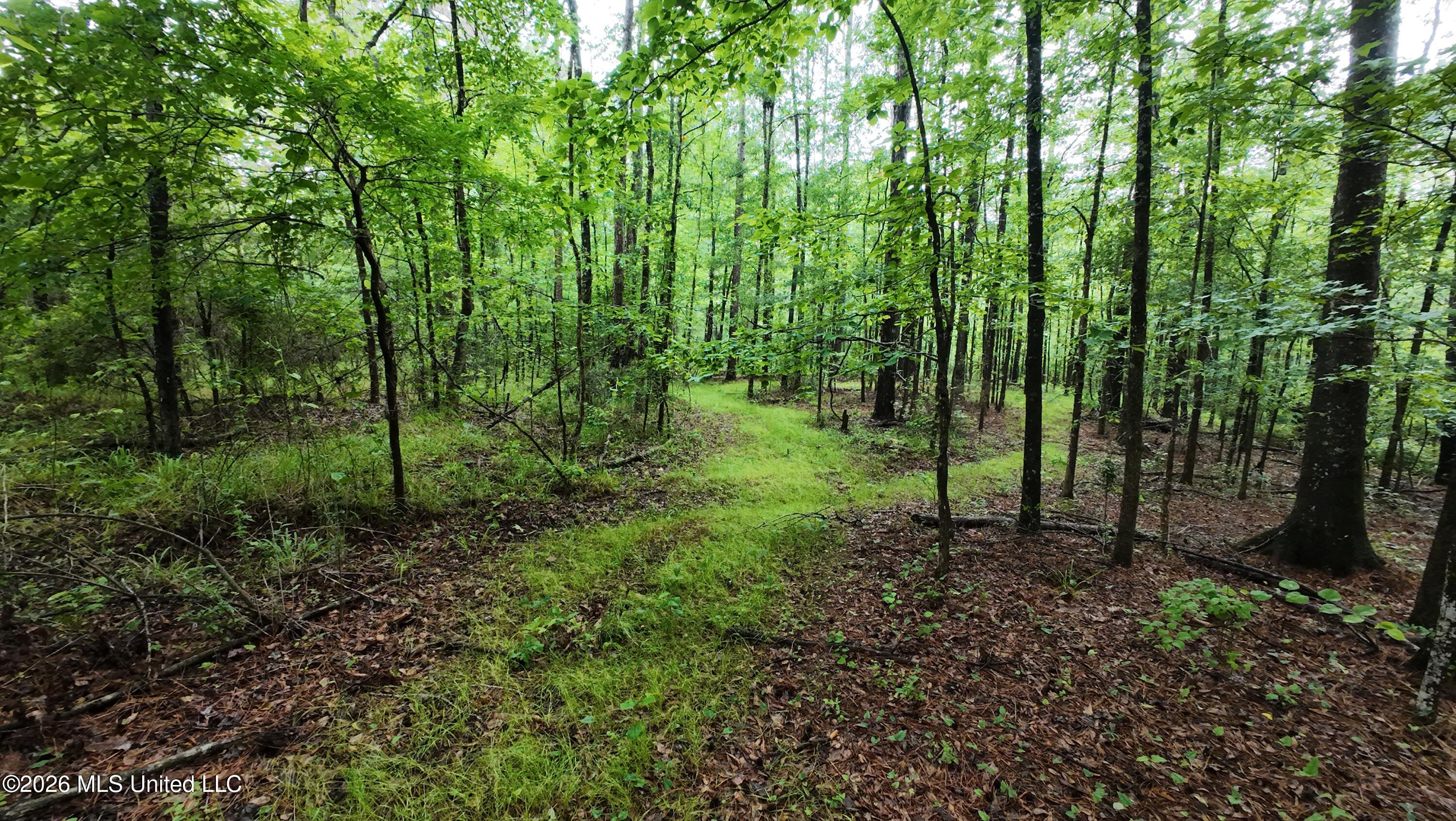6936 Hillsboro-Ludlow Road Forest, MS 39074 - Photo 11 of 22 DJI_20260429130801_0135_D