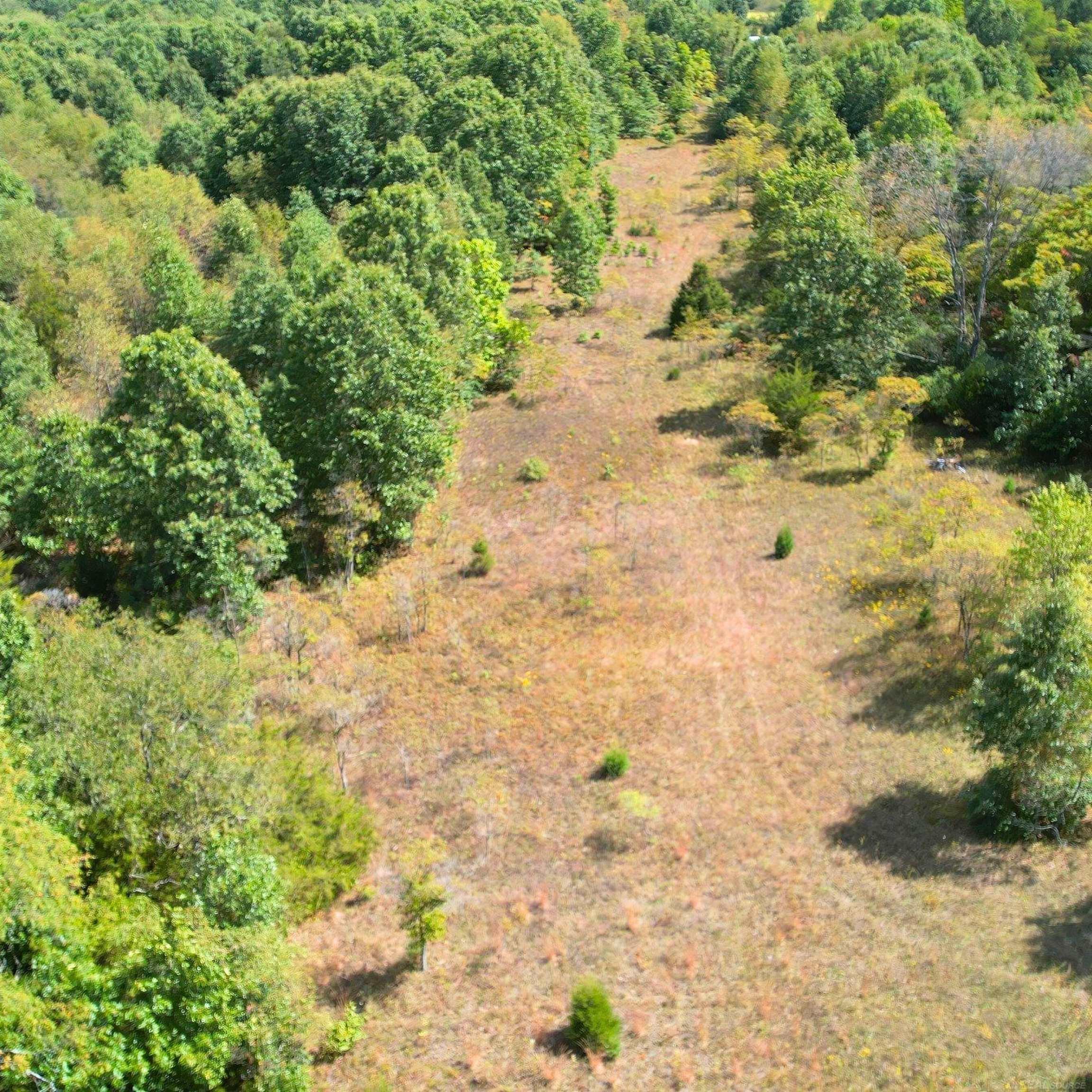 0 Leet Road Niles, MI 49120 - Photo 2 of 9