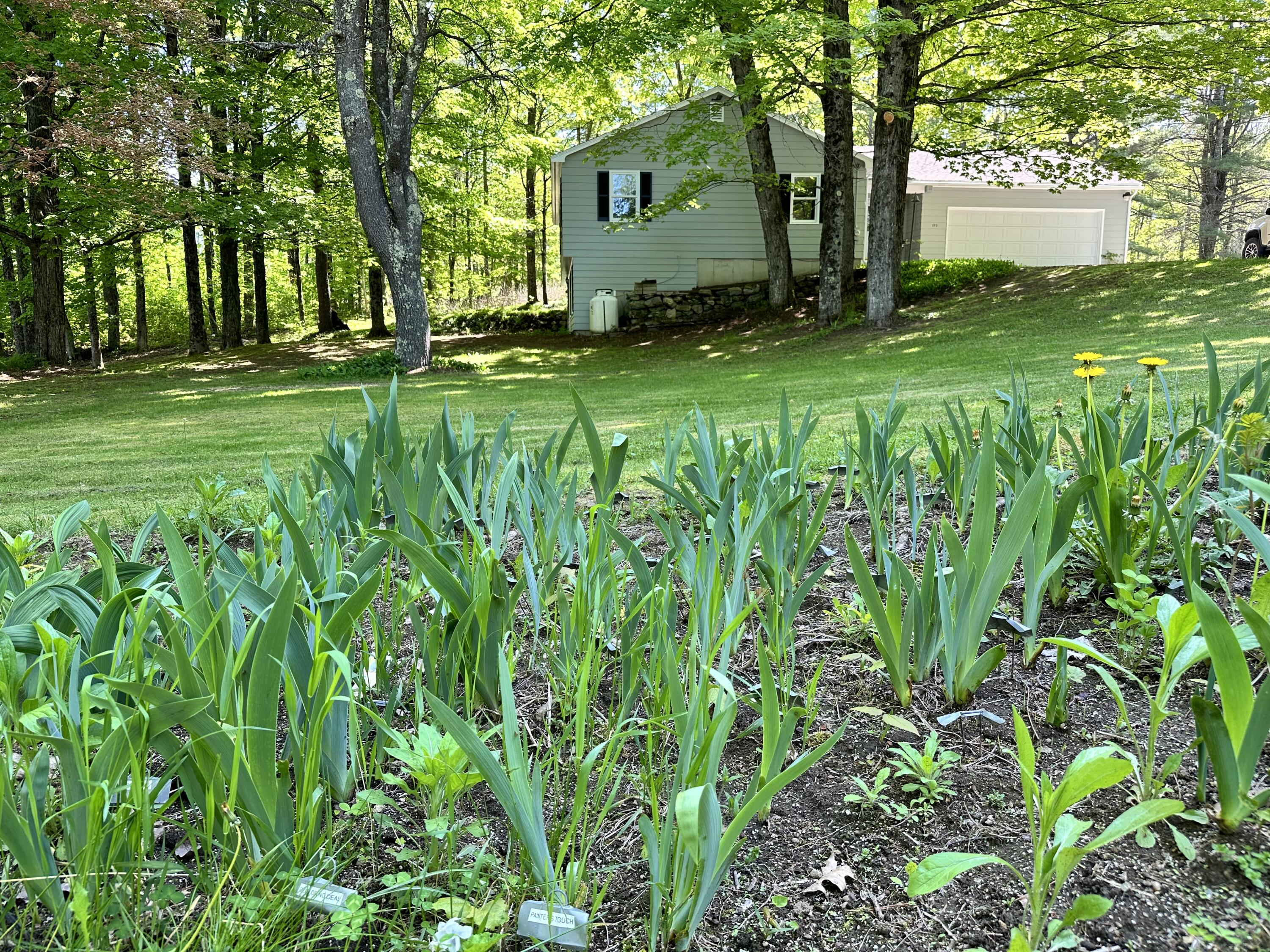 193 Jackson Hill Road Minot, ME 04258 - Photo 9 of 62 Front Yard Garden
