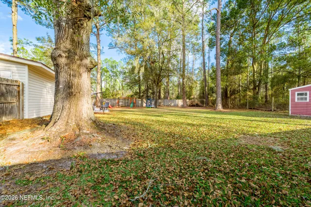 a view of a yard with plants and trees