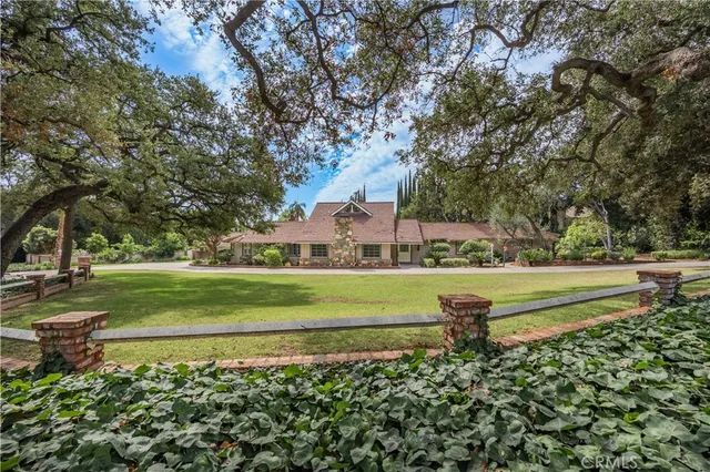 a view of a park with large trees