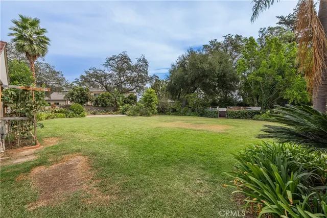 a view of outdoor space with garden