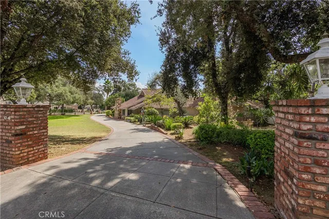 a view of a park with large trees