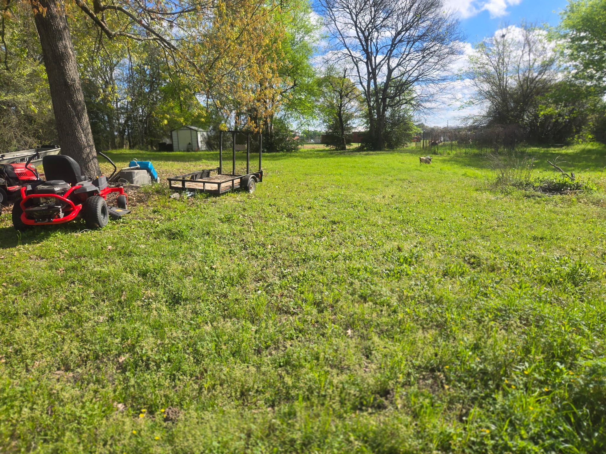 255 Ivey Road Lufkin, TX 75904 - Photo 7 of 7 a view of a park with large trees