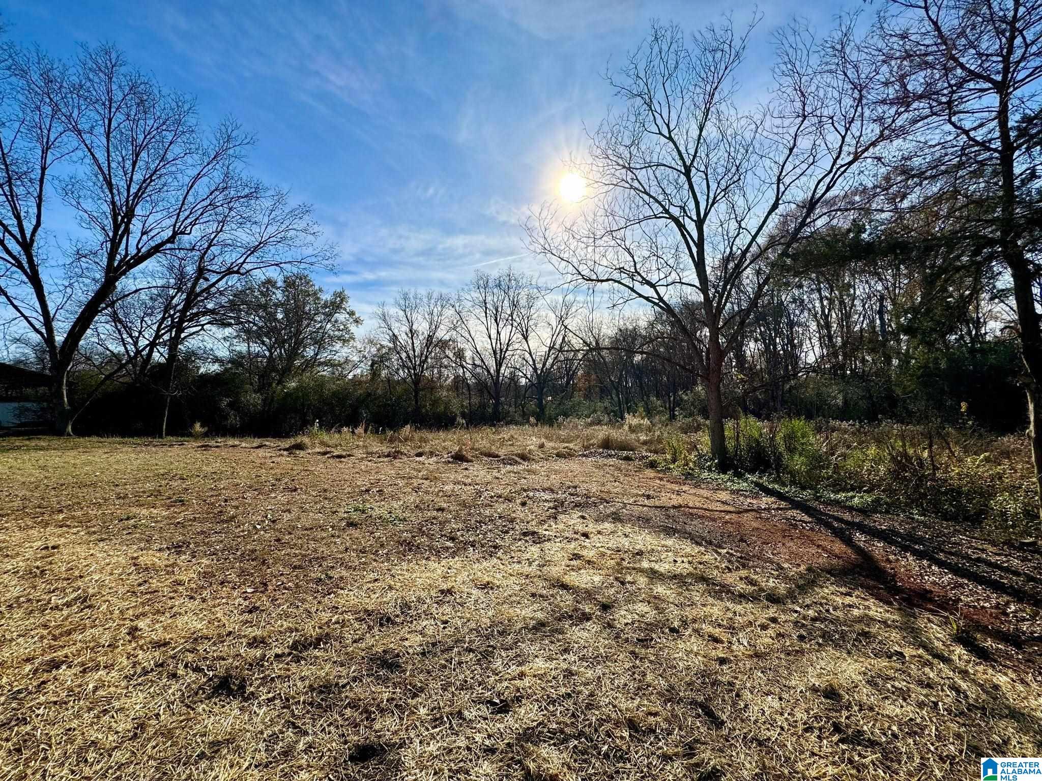 81 Stadium Drive Alexandria, AL 36250 - Photo 34 of 34