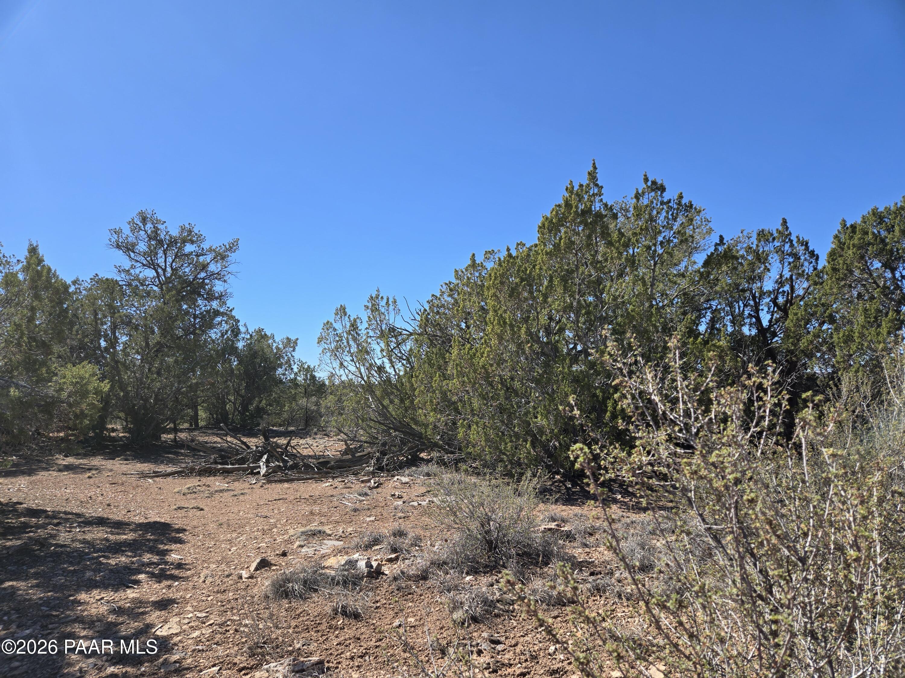 55688 Latigo Road Seligman, AZ 86337 - Photo 5 of 13 a view of outdoor space with mountain view
