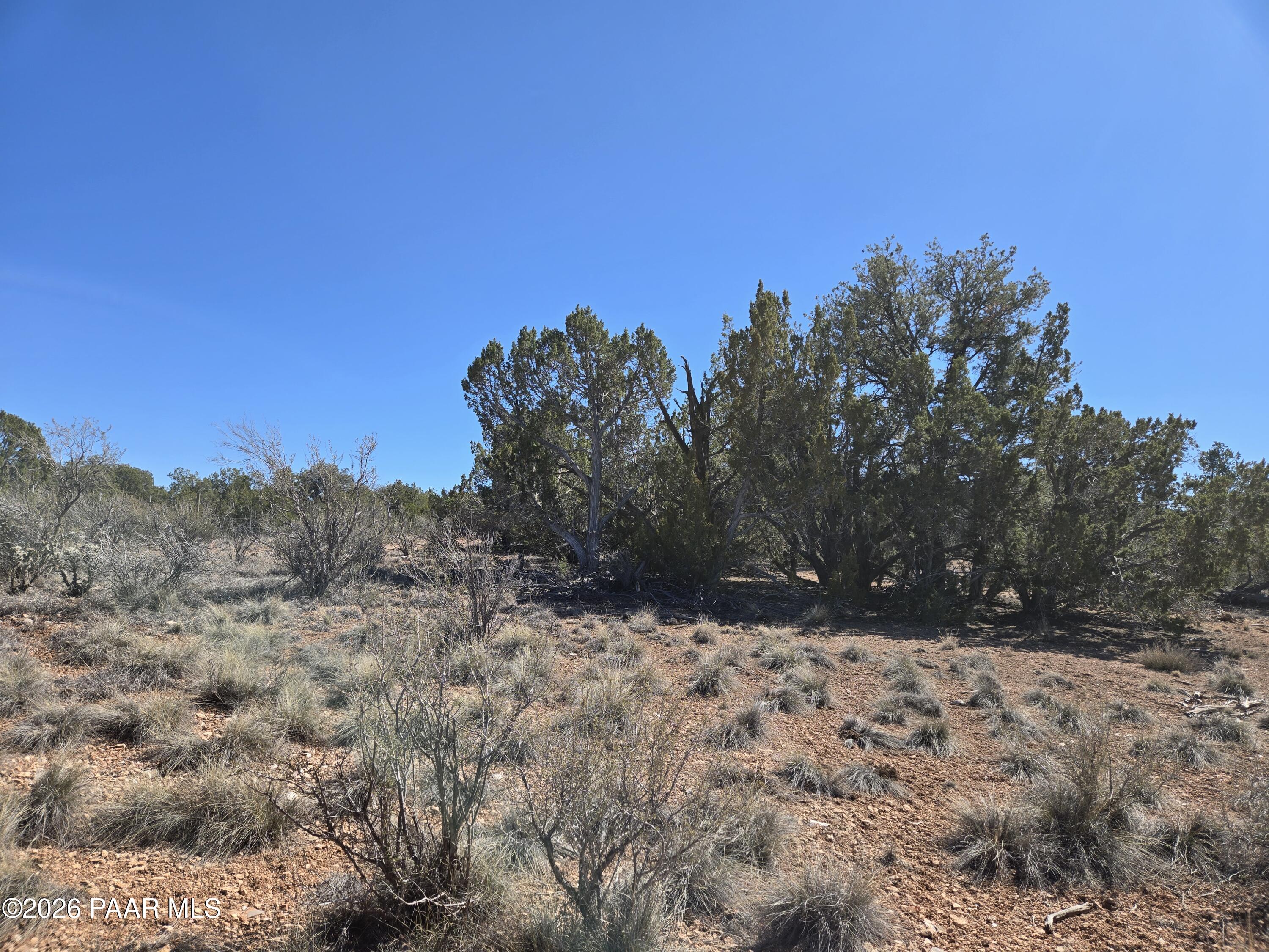 55688 Latigo Road Seligman, AZ 86337 - Photo 6 of 13 a view of snow covered with snow