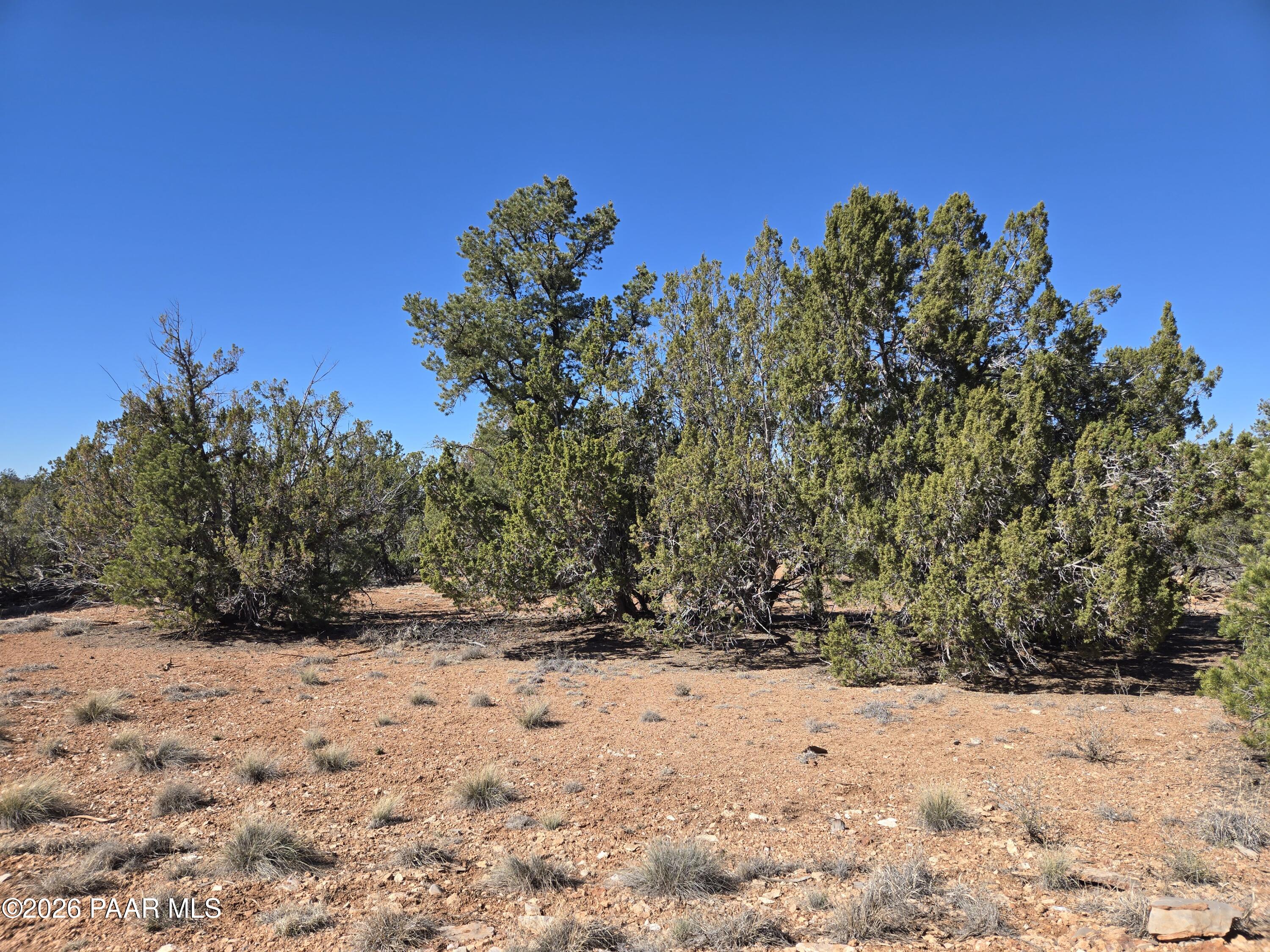 55688 Latigo Road Seligman, AZ 86337 - Photo 7 of 13 a view of mountain view