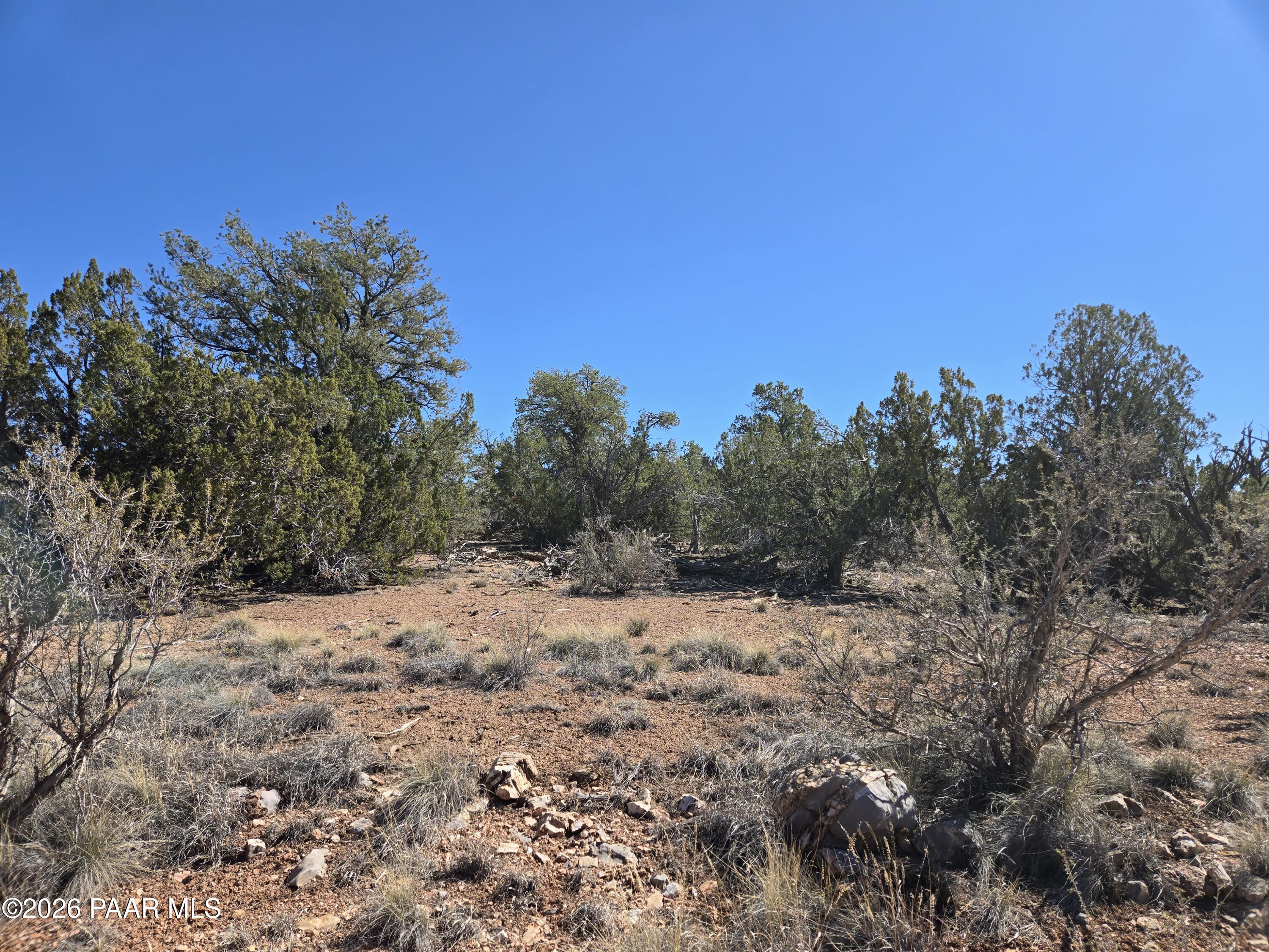 55688 Latigo Road Seligman, AZ 86337 - Photo 8 of 13 a view of a covered with snow in the background