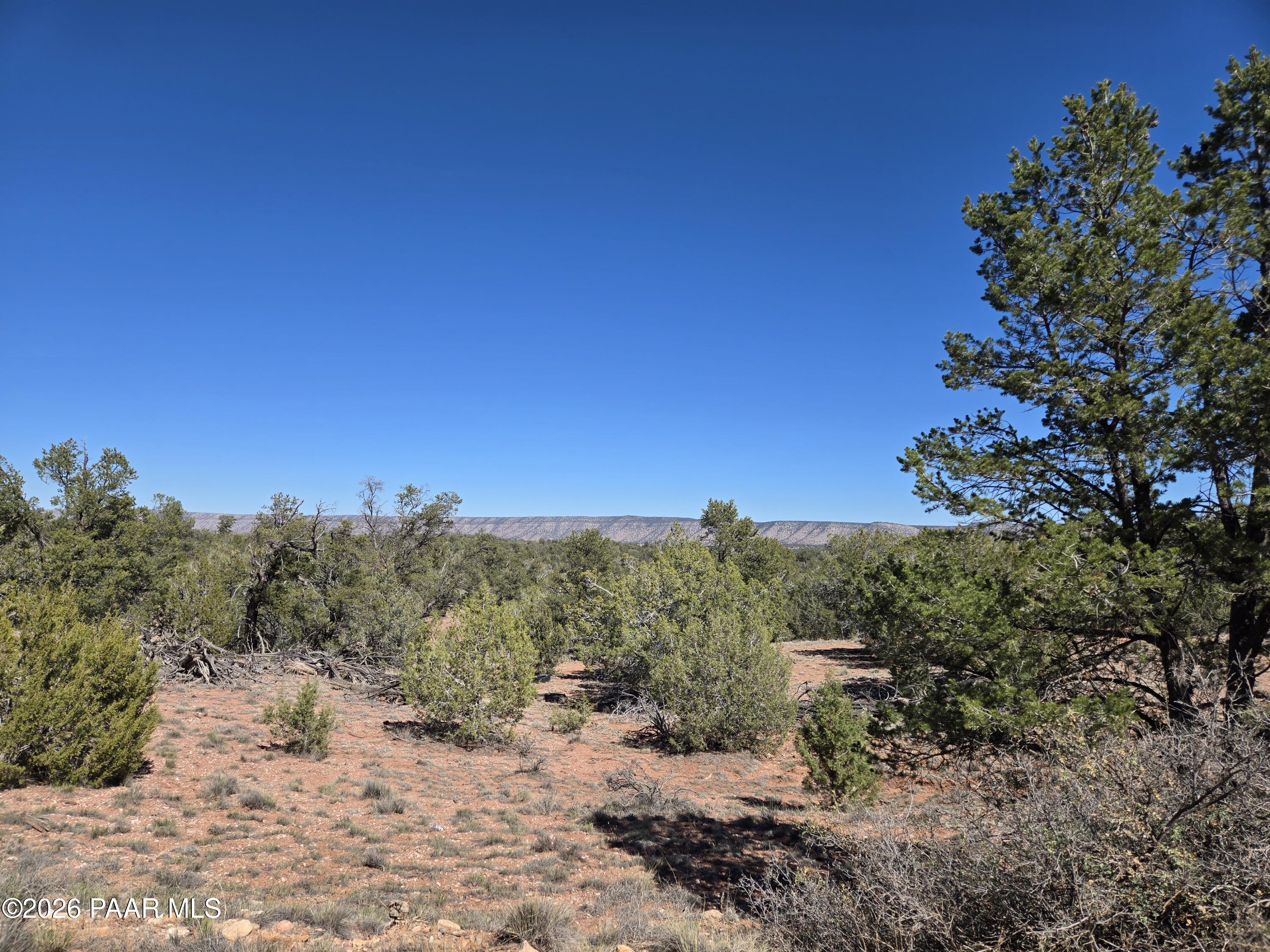 55688 Latigo Road Seligman, AZ 86337 - Photo 10 of 13 a view of a yard with a tree
