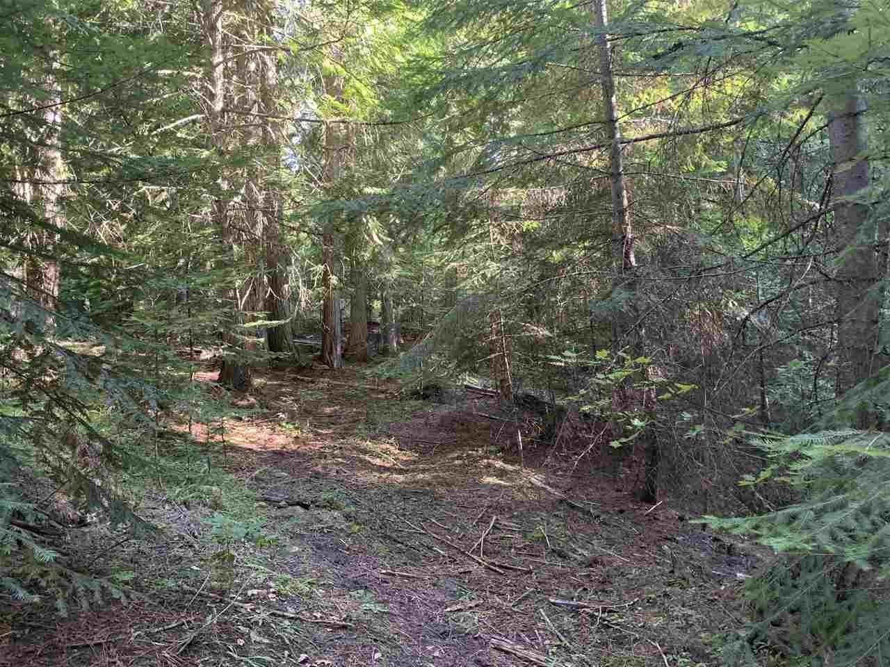 1060 Lee Hedrick Road Colville, WA 99114 - Photo 12 of 29