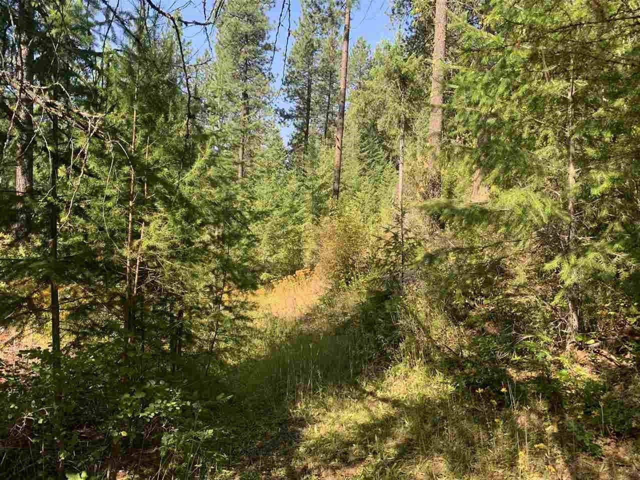 1060 Lee Hedrick Road Colville, WA 99114 - Photo 13 of 29