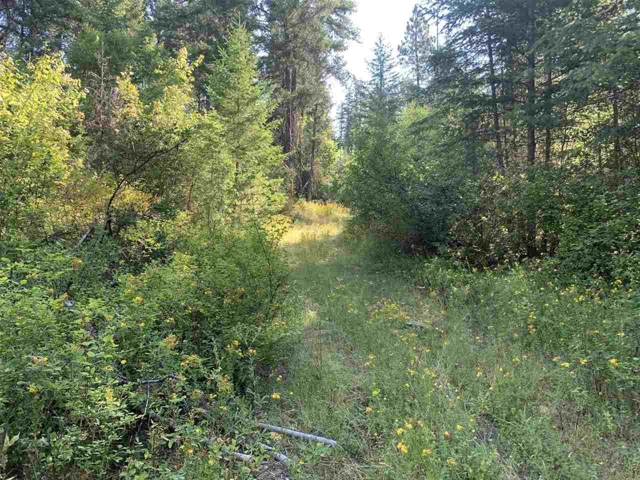1060 Lee Hedrick Road Colville, WA 99114 - Photo 14 of 29