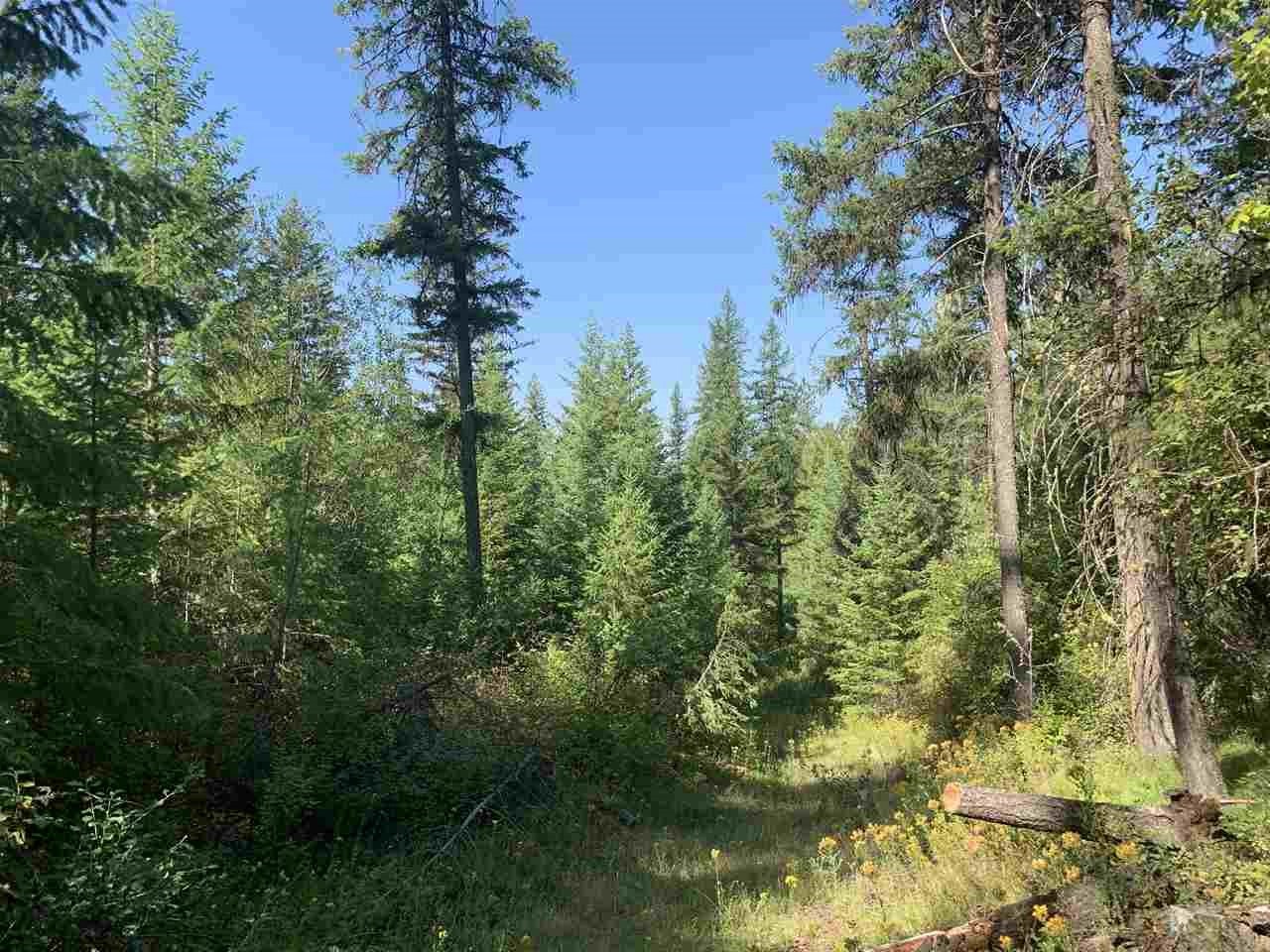 1060 Lee Hedrick Road Colville, WA 99114 - Photo 15 of 29