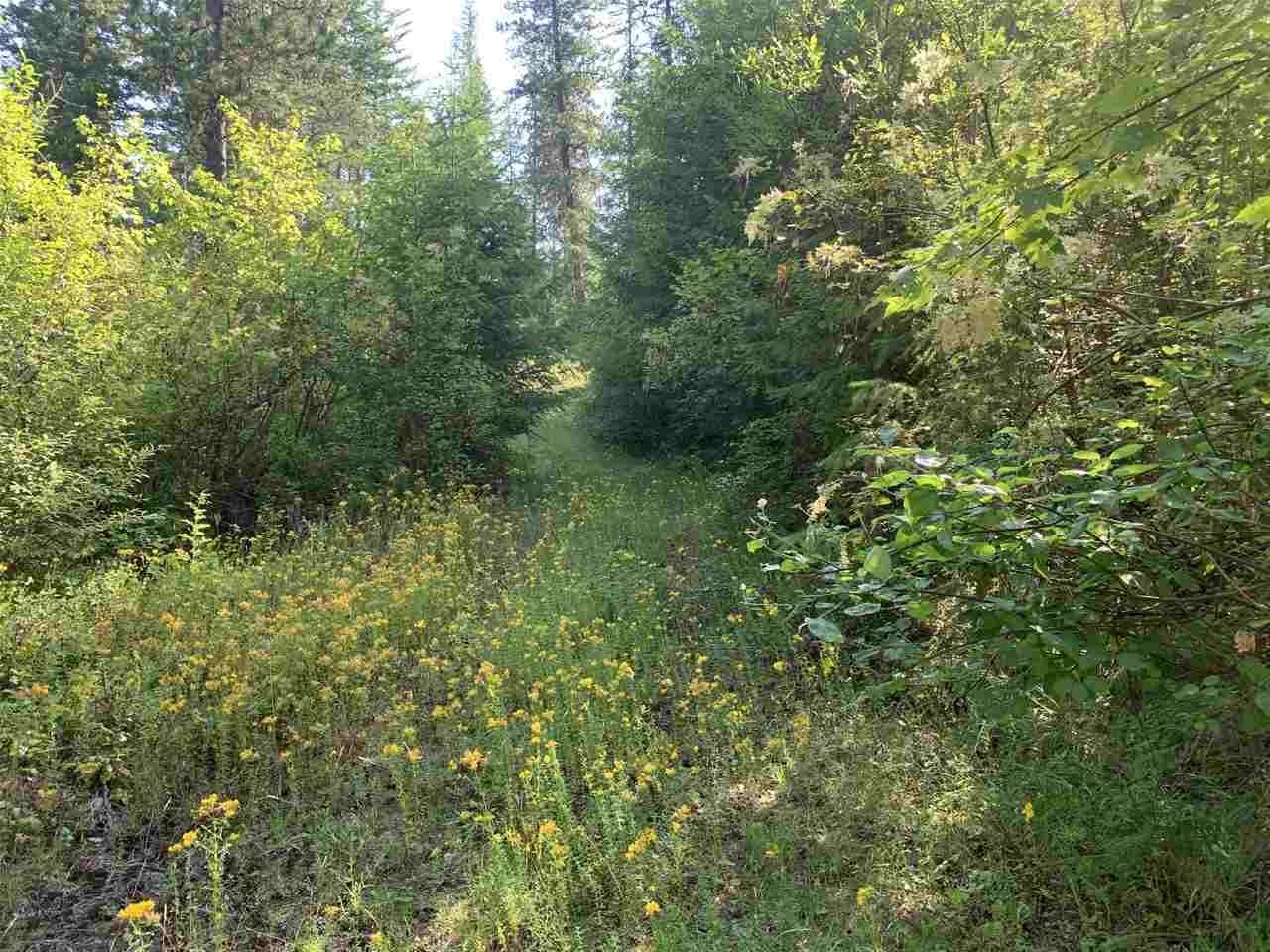 1060 Lee Hedrick Road Colville, WA 99114 - Photo 16 of 29