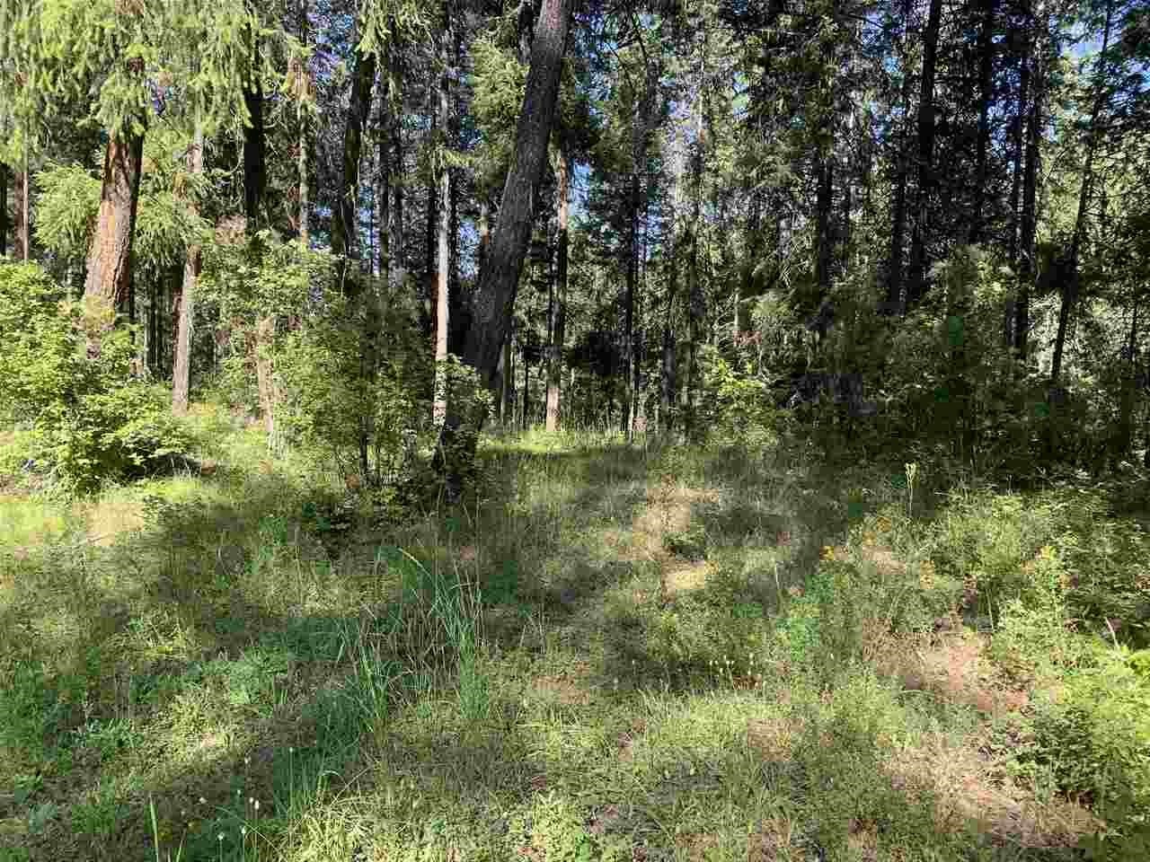 1060 Lee Hedrick Road Colville, WA 99114 - Photo 17 of 29
