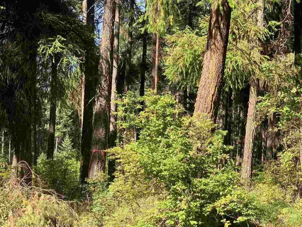 1060 Lee Hedrick Road Colville, WA 99114 - Photo 18 of 29