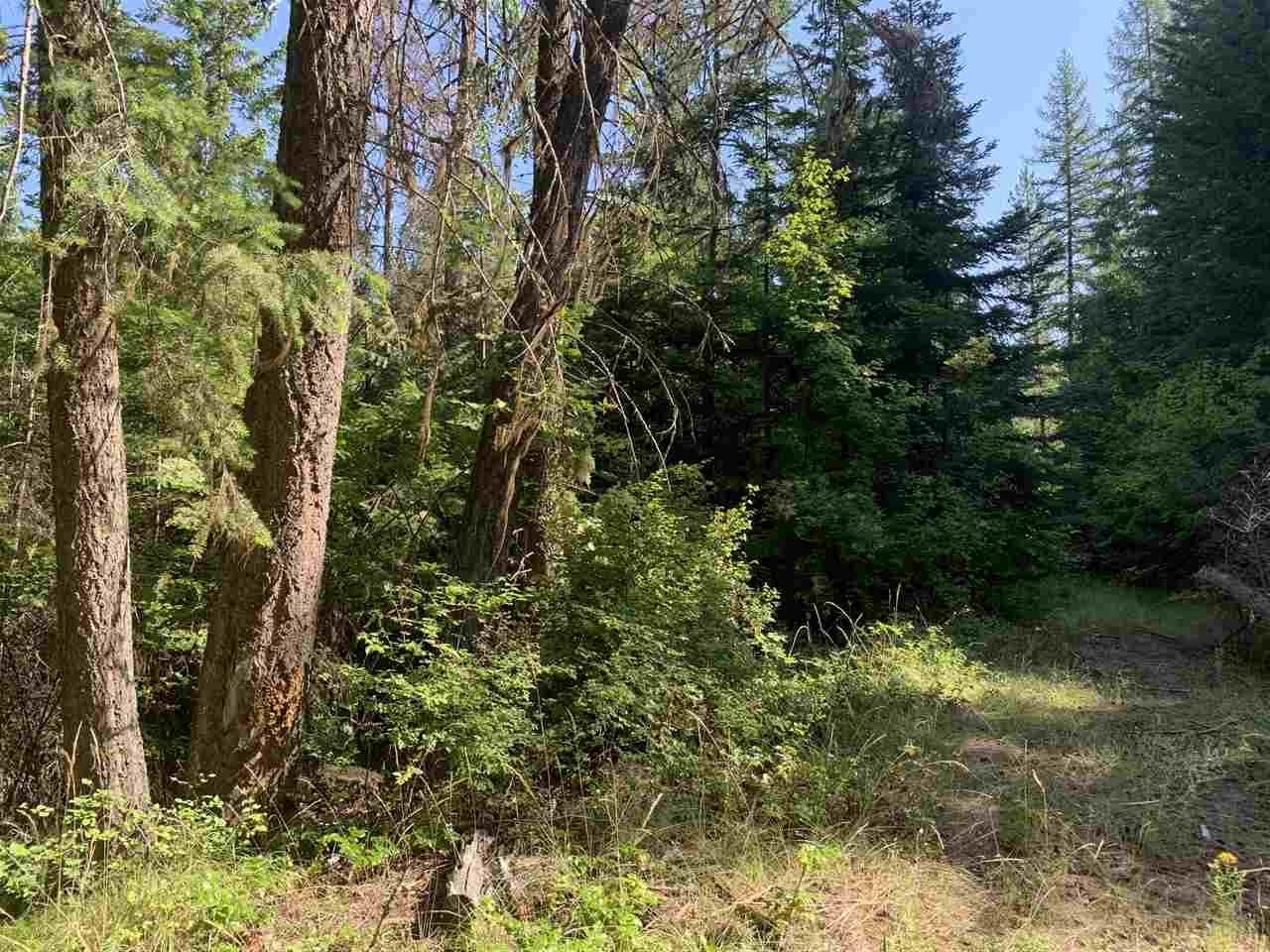 1060 Lee Hedrick Road Colville, WA 99114 - Photo 19 of 29