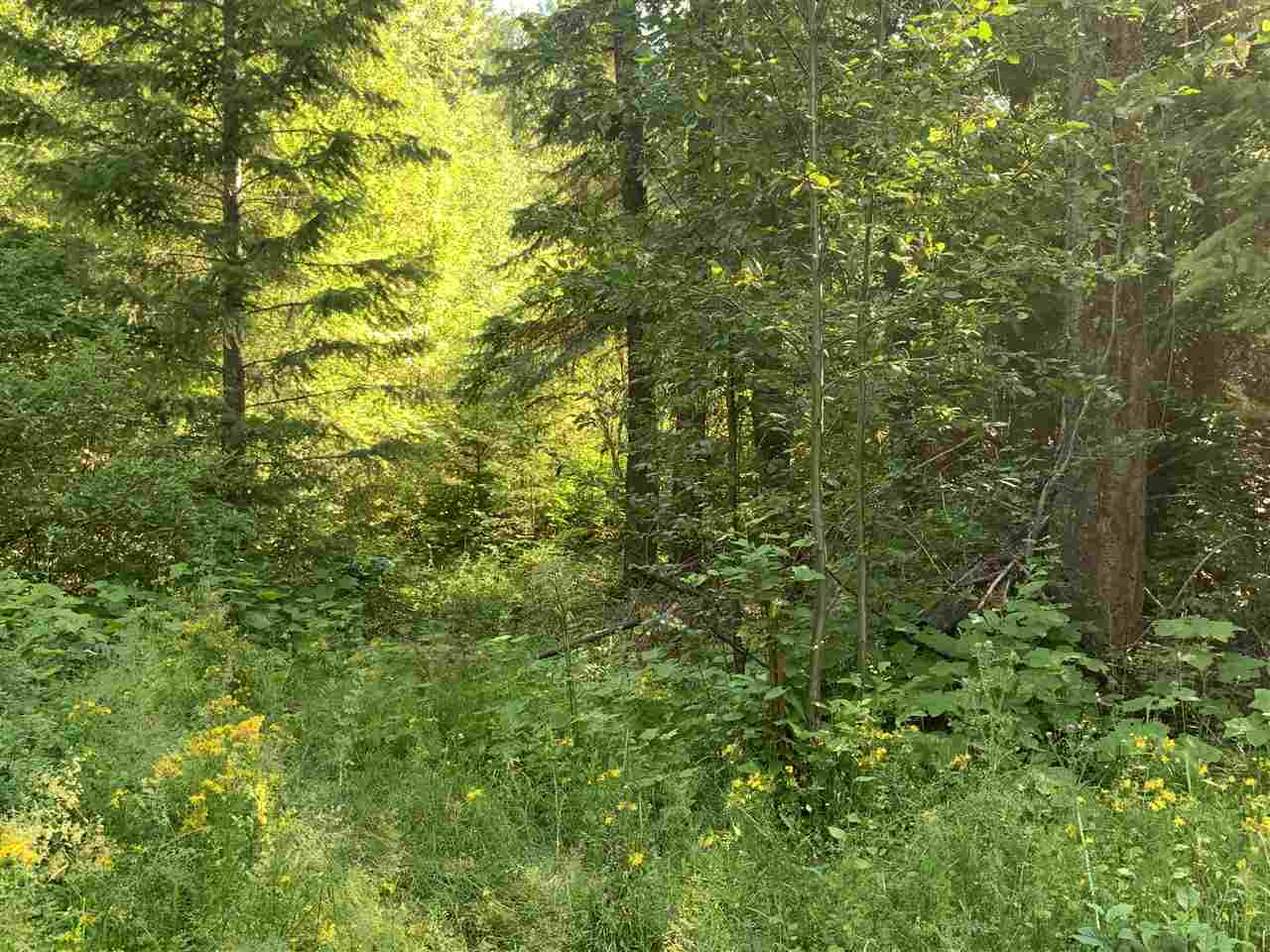 1060 Lee Hedrick Road Colville, WA 99114 - Photo 23 of 29