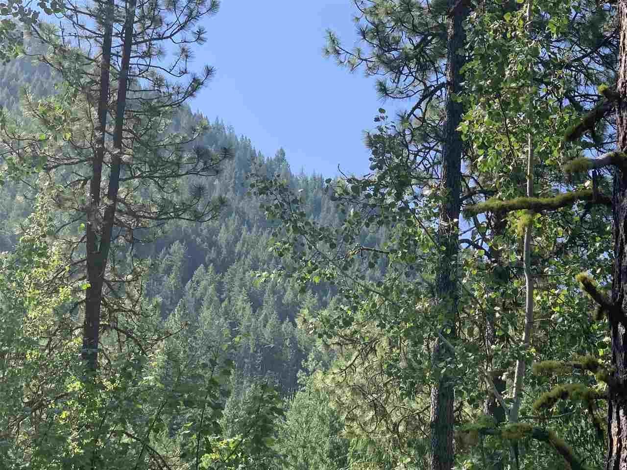 1060 Lee Hedrick Road Colville, WA 99114 - Photo 26 of 29