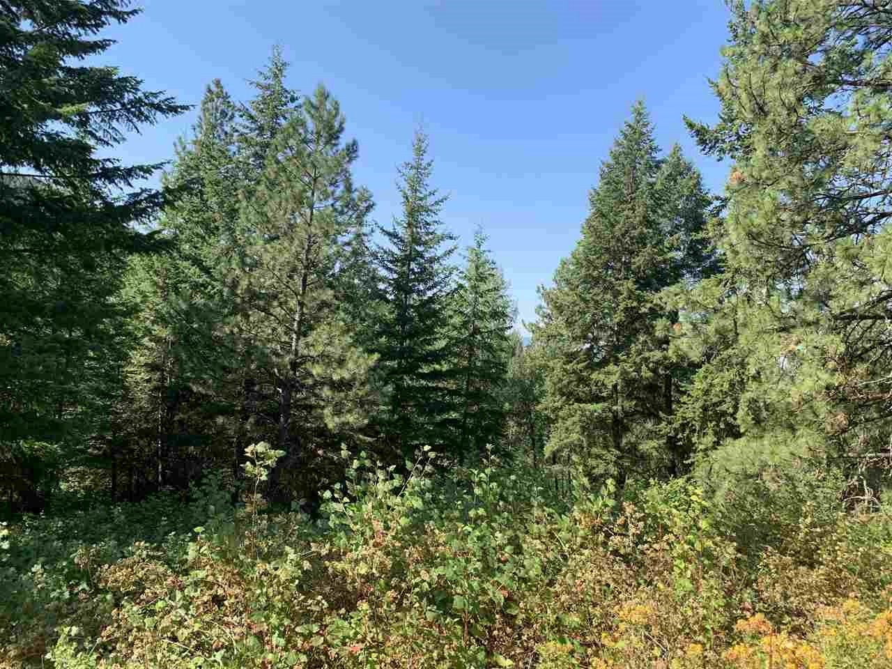 1060 Lee Hedrick Road Colville, WA 99114 - Photo 27 of 29