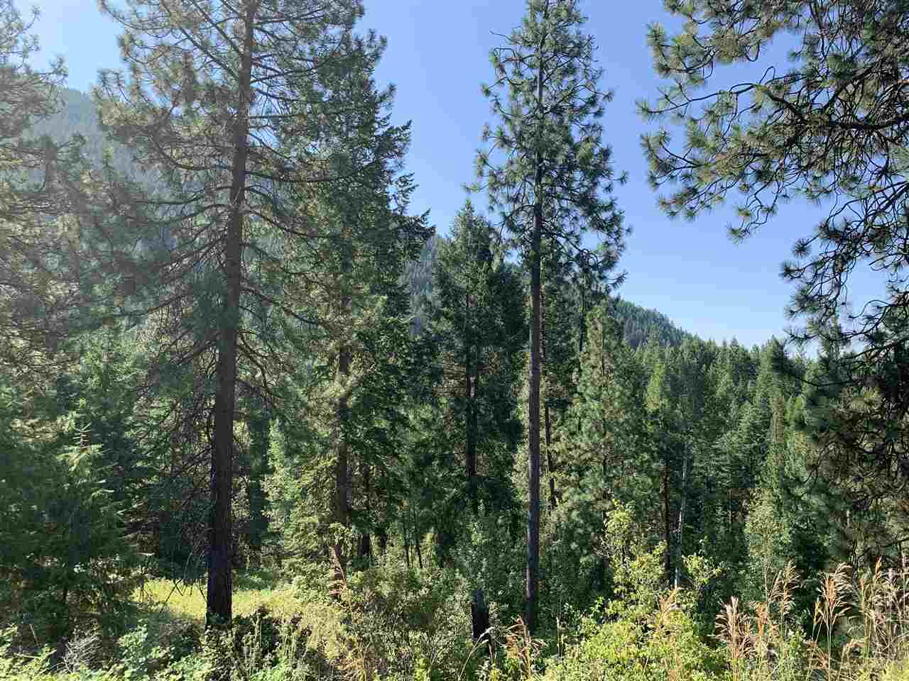 1060 Lee Hedrick Road Colville, WA 99114 - Photo 28 of 29