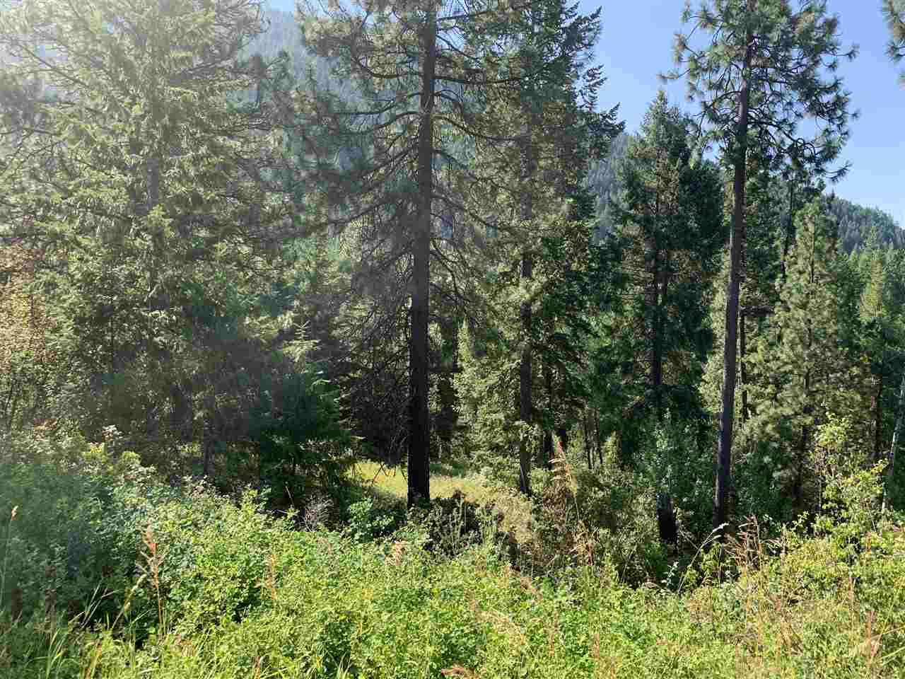 1060 Lee Hedrick Road Colville, WA 99114 - Photo 29 of 29
