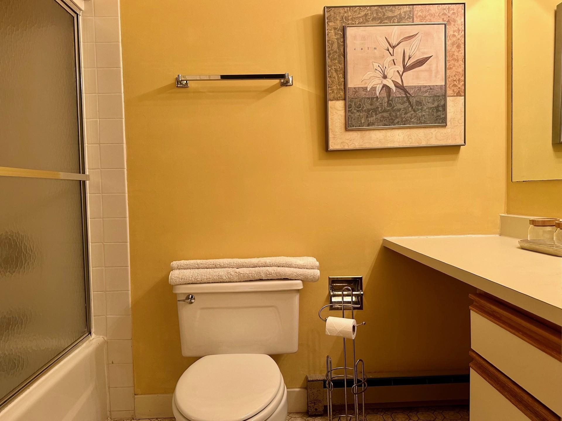 85 East Birch Road, Unit 13 Stratton, VT 05155 - Photo 3 of 20 Gallery Image 3